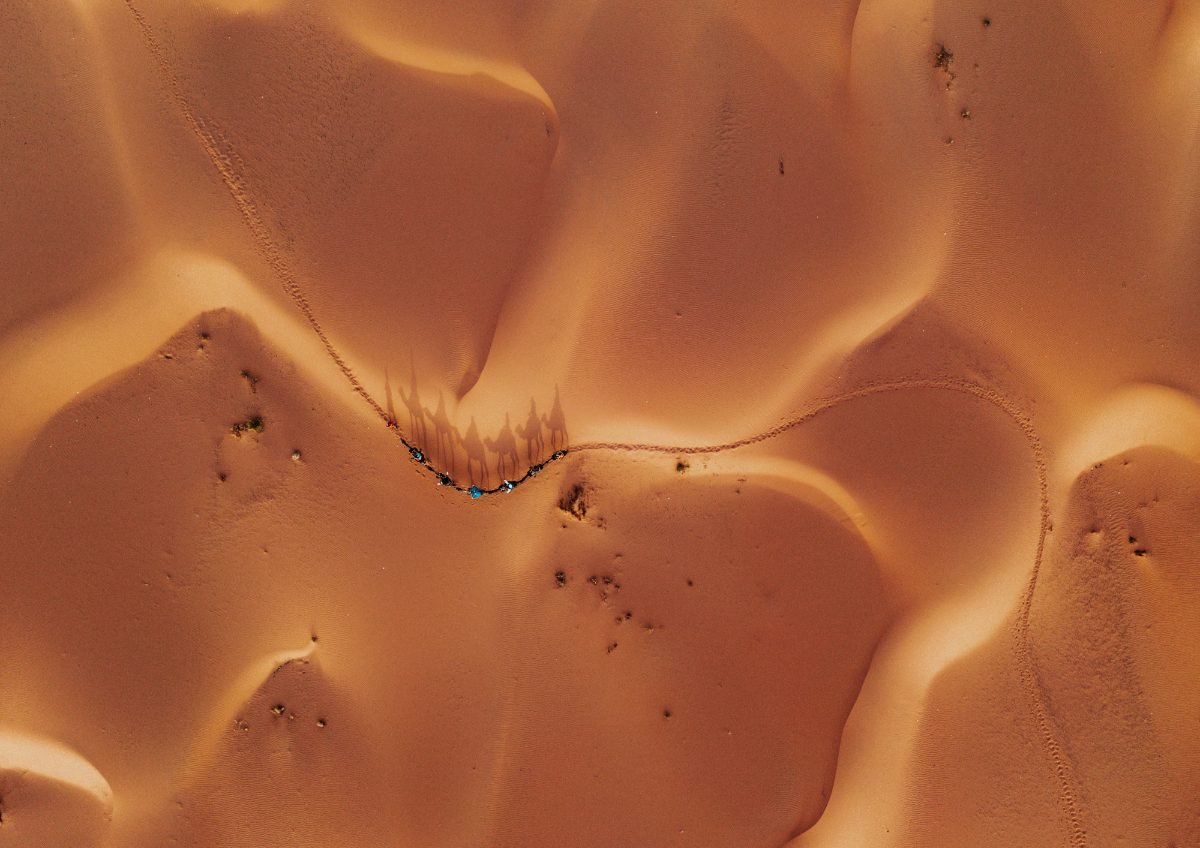 Esperienza Deserto Marocco Sandboarding sulla Sabbia del Deserto Esperienza Deserto Marocco Sandboarding sulla Sabbia del Deserto nel deserto del Sahara marocchino vicino a Merzouga, tour ed escursioni in Marocco con Esplora il Marocco.