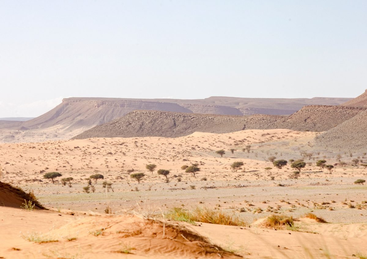 Tour Deserto Da Fes Quad tra le Dune di Merzouga nel deserto del Sahara marocchino vicino a Merzouga, tour ed escursioni in Marocco con Esplora il Marocco.