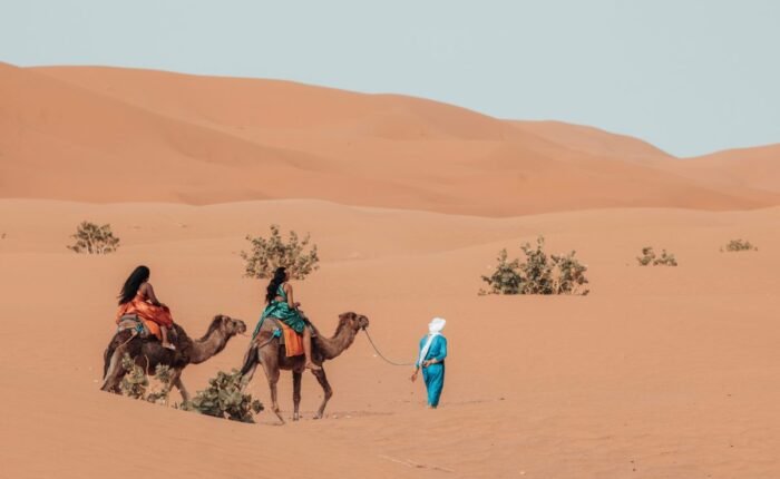 Tour di 4 Giorni nel Deserto