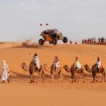 Tour Sahara Marocco Carovana di Cammelli sulle Dune nel deserto del Sahara marocchino vicino a Merzouga, tour ed escursioni in Marocco con Esplora il Marocco.