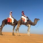 Viaggi di 4 Giorni da Ouarzazate